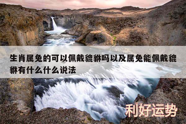 生肖属兔的可以佩戴貔貅吗以及属兔能佩戴貔貅有什么什么说法
