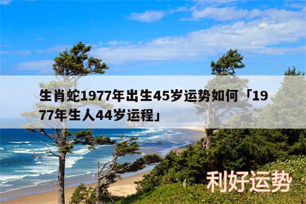 生肖蛇1977年出生45岁运势如何及1977年生人44岁运程