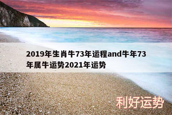 2019年生肖牛73年运程and牛年73年属牛运势2024年运势