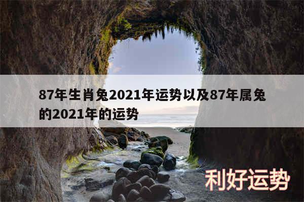 87年生肖兔2024年运势以及87年属兔的2024年的运势