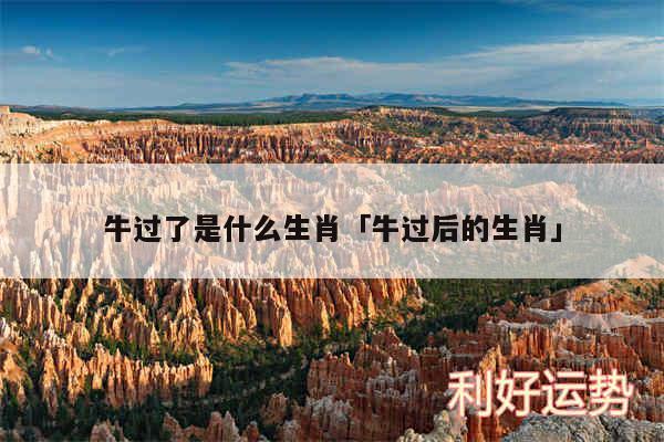 牛过了是什么生肖及牛过后的生肖