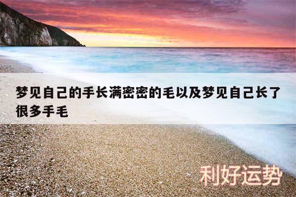 梦见自己的手长满密密的毛以及梦见自己长了很多手毛