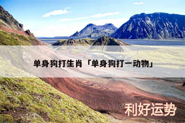 单身狗打生肖及单身狗打一动物