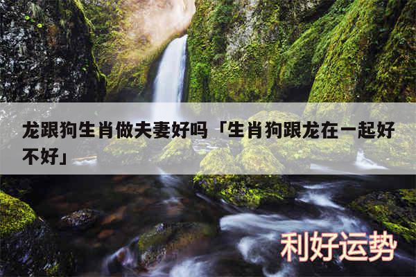 龙跟狗生肖做夫妻好吗及生肖狗跟龙在一起好不好