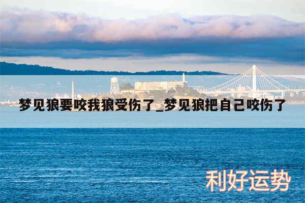 梦见狼要咬我狼受伤了_梦见狼把自己咬伤了