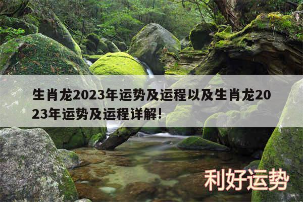 生肖龙2024年运势及运程以及生肖龙2024年运势及运程详解!