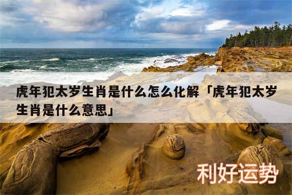 虎年犯太岁生肖是什么怎么化解及虎年犯太岁生肖是什么意思