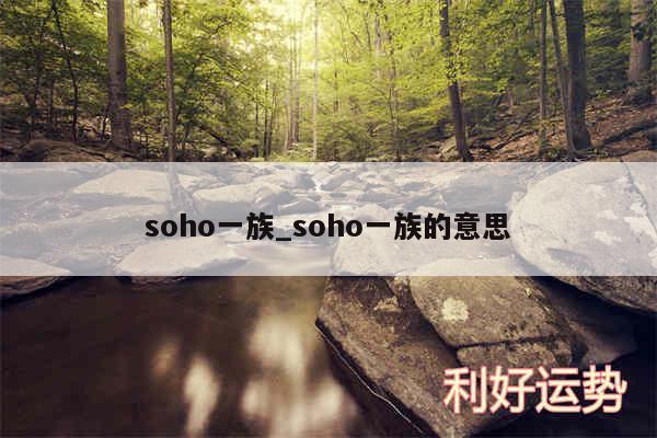 soho一族_soho一族的意思