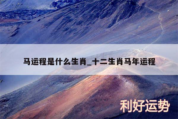 马运程是什么生肖_十二生肖马年运程