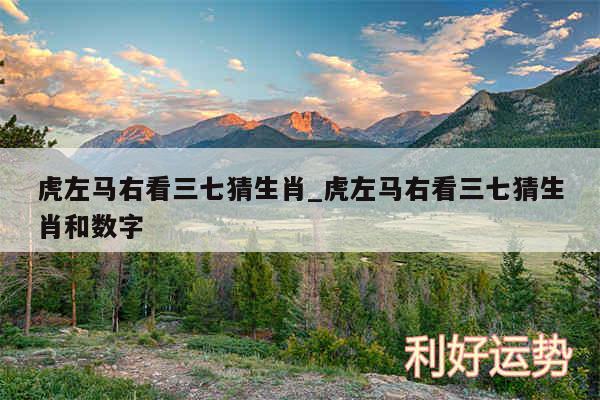 虎左马右看三七猜生肖_虎左马右看三七猜生肖和数字