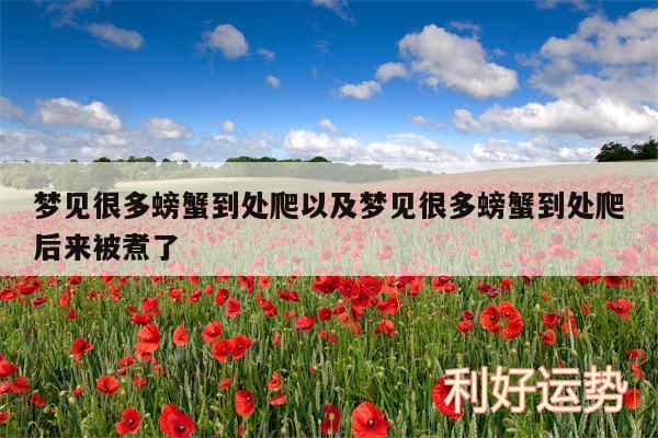梦见很多螃蟹到处爬以及梦见很多螃蟹到处爬后来被煮了