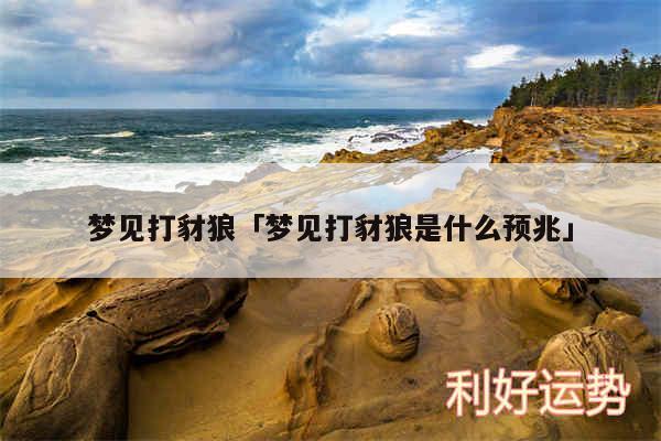 梦见打豺狼及梦见打豺狼是什么预兆