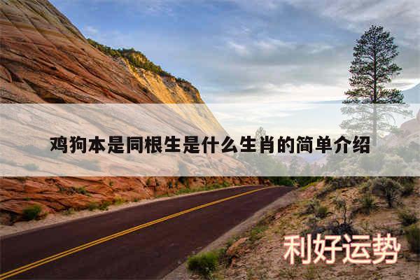 鸡狗本是同根生是什么生肖的简单介绍