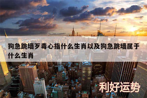 狗急跳墙歹毒心指什么生肖以及狗急跳墙属于什么生肖