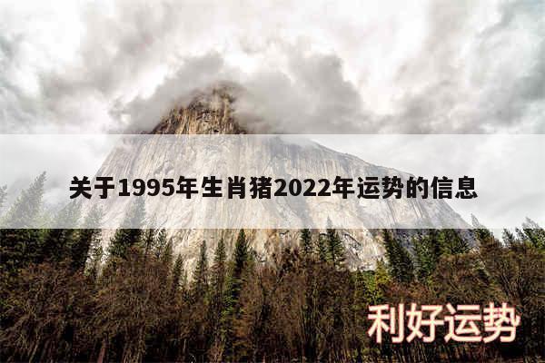 关于1995年生肖猪2024年运势的信息