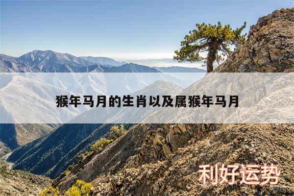猴年马月的生肖以及属猴年马月