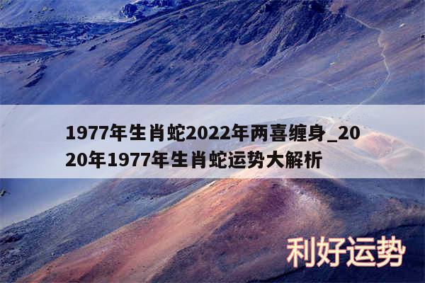 1977年生肖蛇2024年两喜缠身_2020年1977年生肖蛇运势大解析