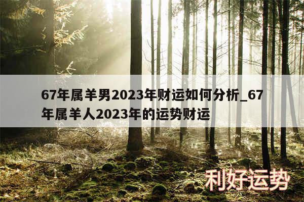 67年属羊男2024年财运如何分析_67年属羊人2024年的运势财运