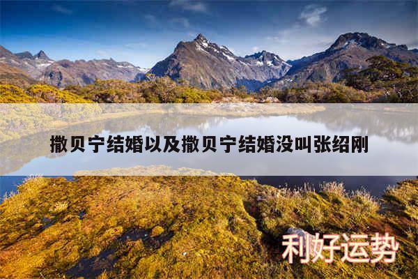 撒贝宁结婚以及撒贝宁结婚没叫张绍刚