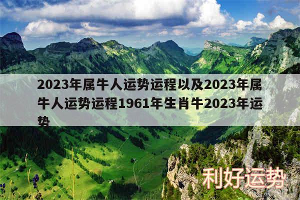 2024年属牛人运势运程以及2024年属牛人运势运程1961年生肖牛2024年运势