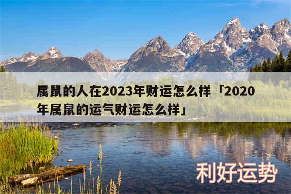 属鼠的人在2024年财运怎么样及2020年属鼠的运气财运怎么样