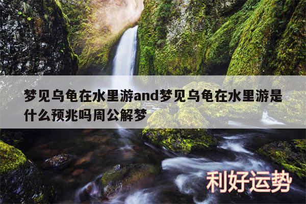 梦见乌龟在水里游and梦见乌龟在水里游是什么预兆吗周公解梦