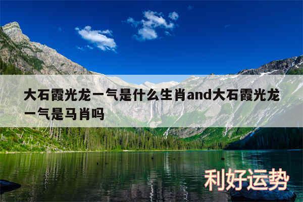 大石霞光龙一气是什么生肖and大石霞光龙一气是马肖吗