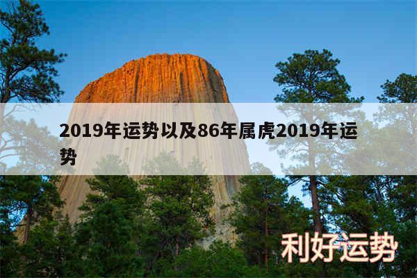 2019年运势以及86年属虎2019年运势