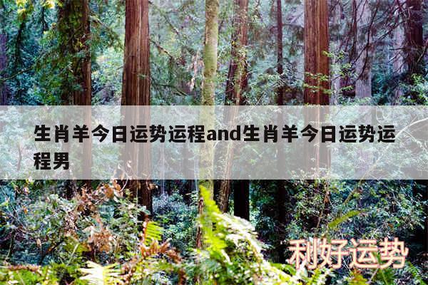 生肖羊今日运势运程and生肖羊今日运势运程男