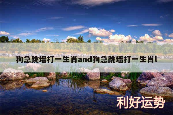 狗急跳墙打一生肖and狗急跳墙打一生肖l