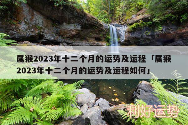 属猴2024年十二个月的运势及运程及属猴2024年十二个月的运势及运程如何