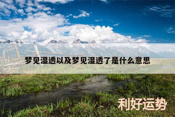 梦见湿透以及梦见湿透了是什么意思