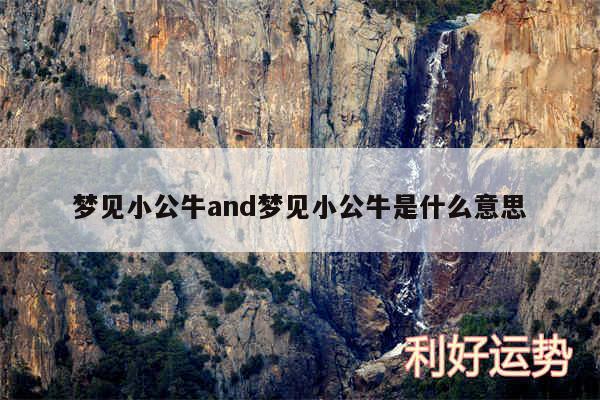 梦见小公牛and梦见小公牛是什么意思