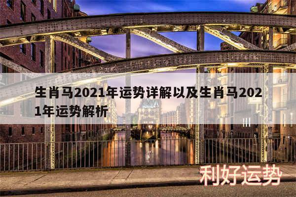 生肖马2024年运势详解以及生肖马2024年运势解析