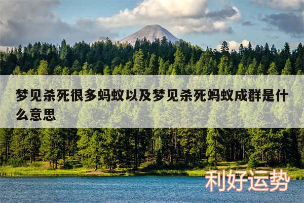 梦见杀死很多蚂蚁以及梦见杀死蚂蚁成群是什么意思
