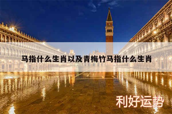马指什么生肖以及青梅竹马指什么生肖