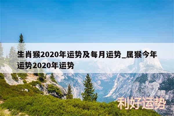 生肖猴2020年运势及每月运势_属猴今年运势2020年运势