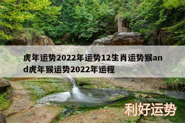 虎年运势2024年运势12生肖运势猴and虎年猴运势2024年运程