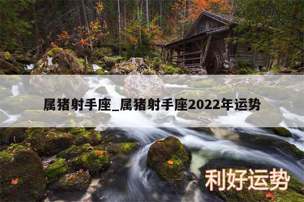属猪射手座_属猪射手座2024年运势