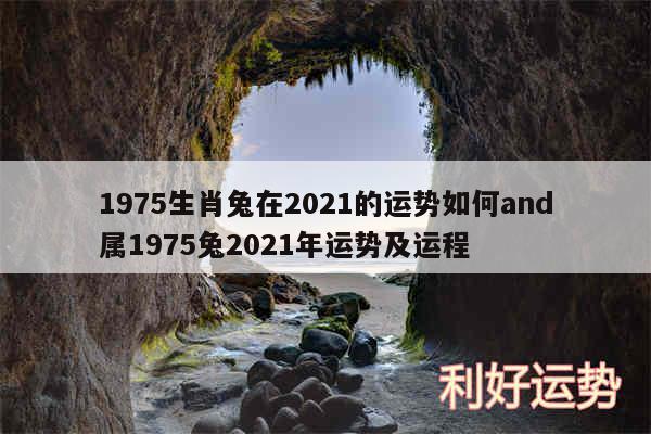 1975生肖兔在2024的运势如何and属1975兔2024年运势及运程