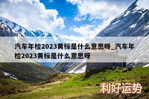 汽车年检2024黄标是什么意思呀_汽车年检2024黄标是什么意思呀