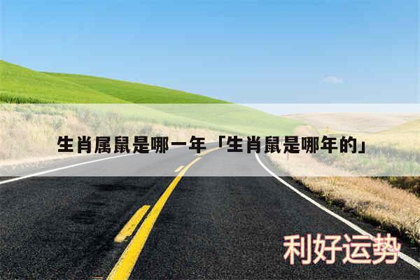 生肖属鼠是哪一年及生肖鼠是哪年的