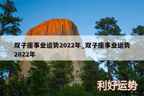 双子座事业运势2024年_双子座事业运势2024年