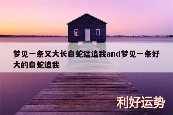 梦见一条又大长白蛇猛追我and梦见一条好大的白蛇追我