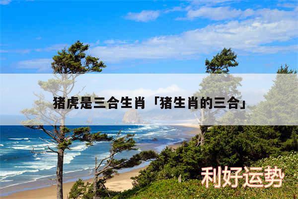 猪虎是三合生肖及猪生肖的三合