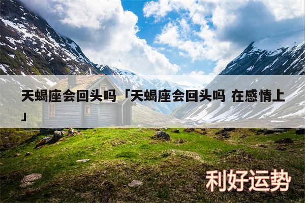 天蝎座会回头吗及天蝎座会回头吗 在感情上