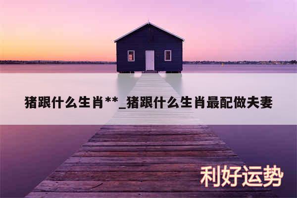 猪跟什么生肖**_猪跟什么生肖最配做夫妻