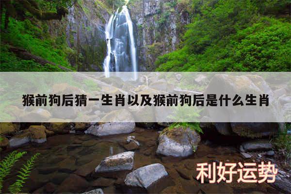 猴前狗后猜一生肖以及猴前狗后是什么生肖
