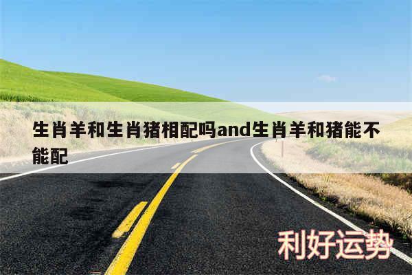 生肖羊和生肖猪相配吗and生肖羊和猪能不能配