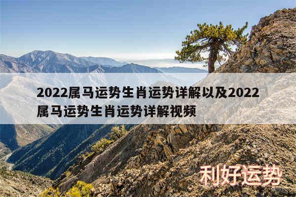 2024属马运势生肖运势详解以及2024属马运势生肖运势详解视频